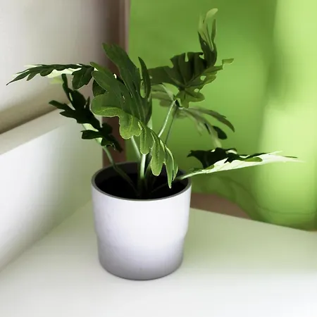 Hotel Rheinsteig Quartier Koblenz By Bestprice Bendorf