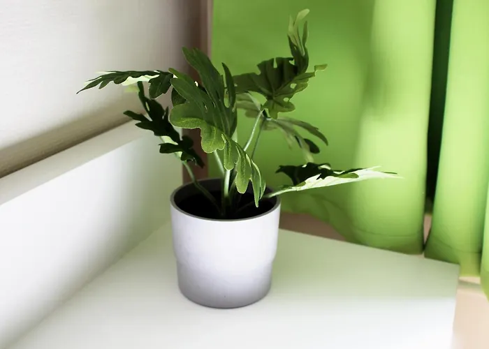 호텔 By Belvilla 벤도르프